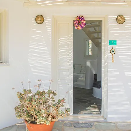 Hotel Salty Playa Kalo Livadi