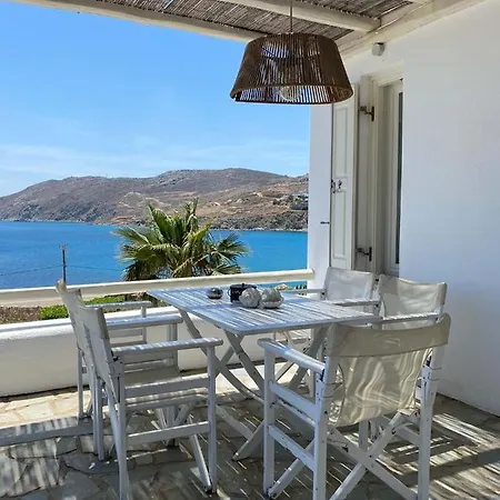 Salty 칼로 리바디