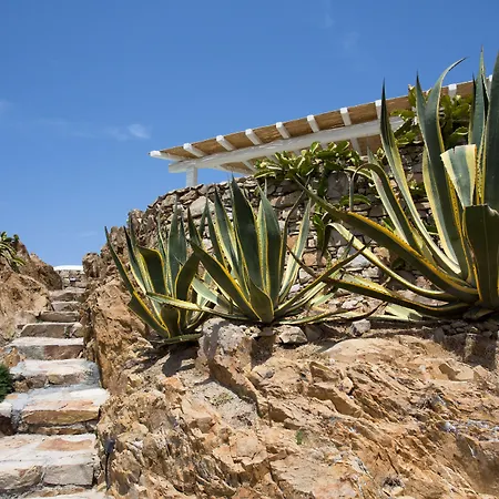 Salty 4* 칼로 리바디