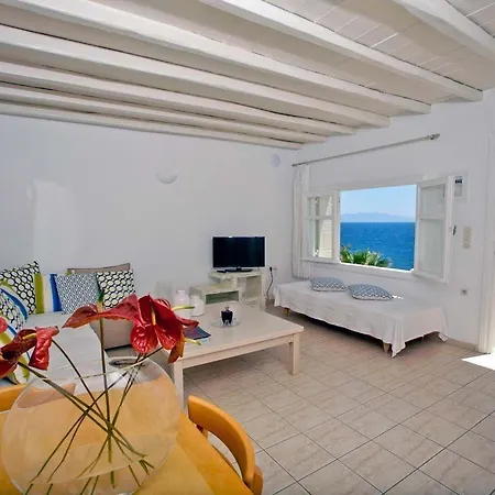 Salty 칼로 리바디